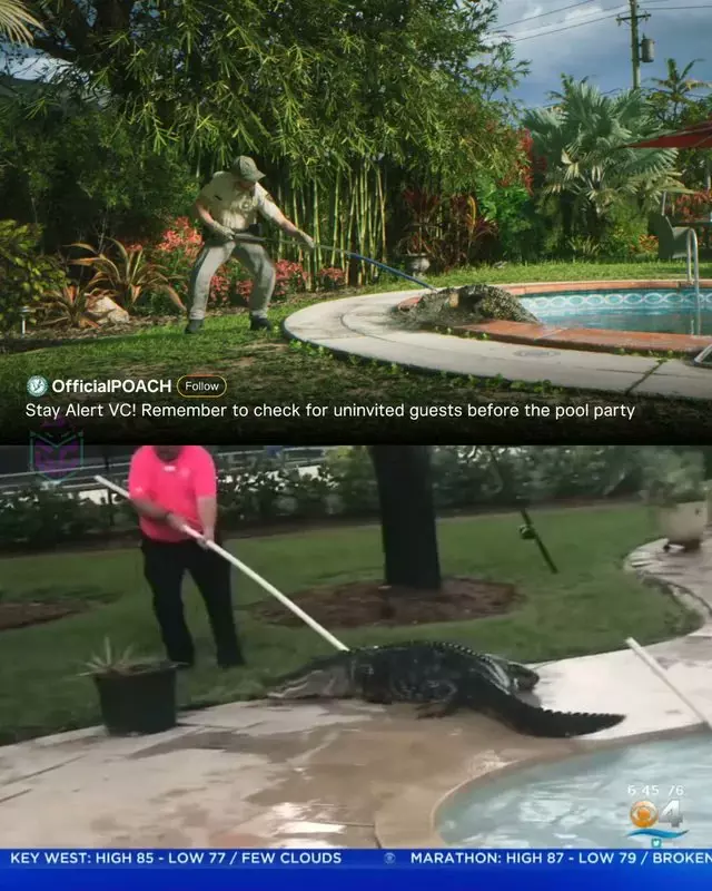 gta 6 crocodile reference 2