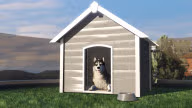 gtaonline mansions exterior kennels